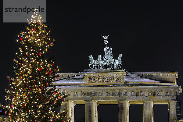 Quadriga am Brandenburger Tor mit einem Weihnachtsbaum  Weihnachtszeit  Berlin  Deutschland  Europa