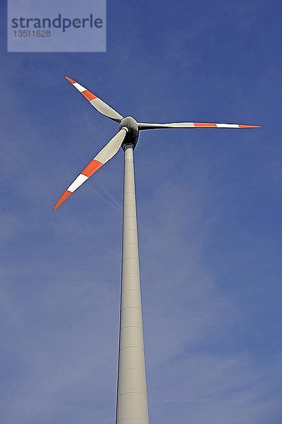 Windkraftanlage  Brandenburg  Deutschland  Europa