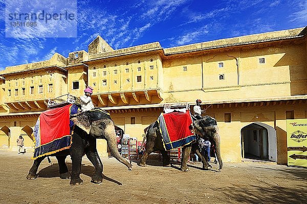 Bemalte Elefanten im Amber Fort  Jaipur  Rajasthan  Indien  Asien