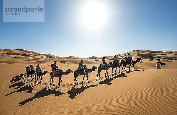 Karawane mit Dromedar (Camelus dromedarius)  Schatten auf Sanddünen in der Wüste  Erg Chebbi  Merzouga  Sahara  Marokko  Afrika