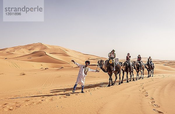 Touristen mit Beduinenführer  Karawane mit zwei Dromedaren (Camelus dromedarius)  Sanddünen in der Wüste  Erg Chebbi  Merzouga  Sahara  Marokko  Afrika