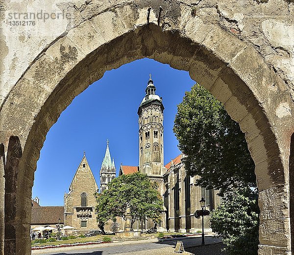 Naumburger Dom St. Peter und Paul  Torbogen  Naumburg  Sachsen-Anhalt  Deutschland  Europa