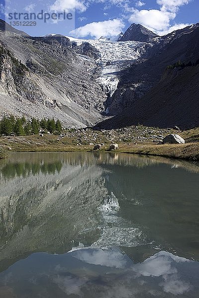 Riedgletscher am Graechen im Wallis  Schweiz  Europa