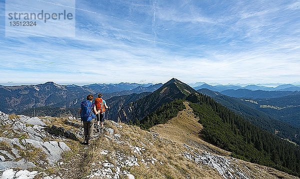 Wanderer bei der Überquerung der Blauberge  vom Predigtstuhl über Blaubergschneid  Blaubergkopf und Karschneid nach Halserspitz  Wildbad Kreuth  Oberbayern  Bayern  Deutschland  Europa
