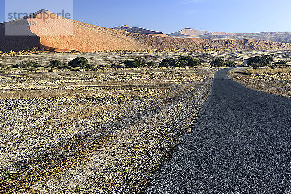 Straße durch die Salzpfanne Sossusvlei  Sossusvlei  Namib-Wüste  Namib Naukluft Park  Namibia  Afrika