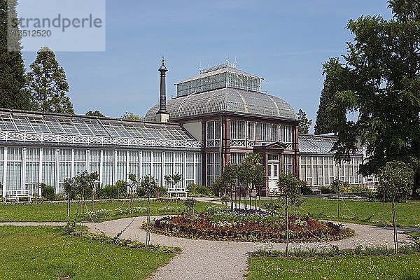 Großes Gewächshaus im Bergpark Wilhelmshöhe  Kassel  Hessen  Deutschland  Europa