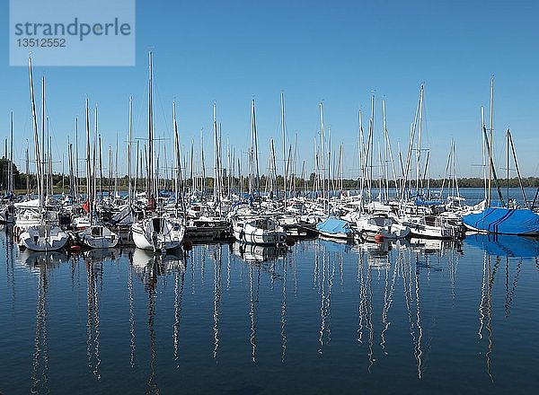 Hafen Zöbigk am Cospudener See  Neuseenland Leipzig  Markkleeberg  Sachsen  Deutschland  Europa