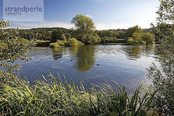 Fluss Ruhr  Bochum  Ruhrgebiet  Nordrhein-Westfalen  Deutschland  Europa