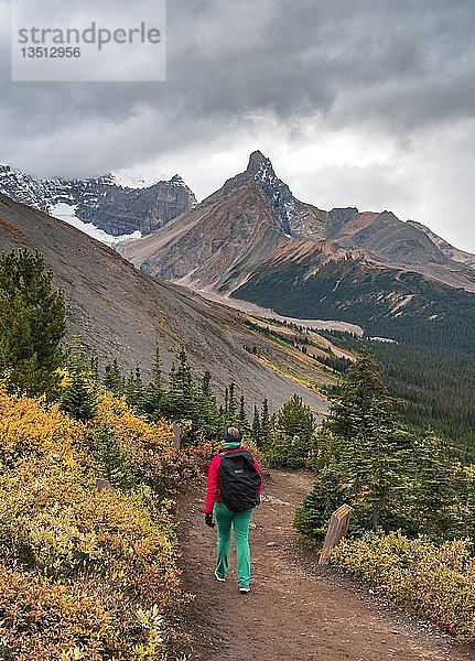 Blick auf Mount Athabasca und Hilda Peak im Herbst  Wanderer auf dem Wanderweg zur Parker Ridge  Jasper National Park National Park  Canadian Rocky Mountains  Alberta  Kanada  Nordamerika