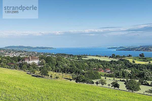 Blick über eine Wiese zum Bodensee mit Schloss Spetzgart  im Hintergrund die Stadt Überlingen  Bodenseeregion  Baden-Württemberg  Deutschland  Europa