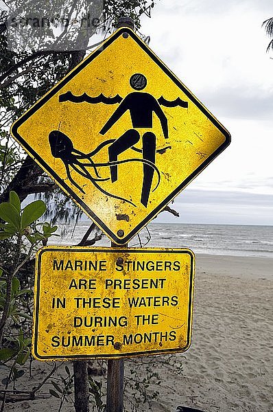 Schild  das vor dem Box Jelly Fish (Chironex fleckerli) warnt  an einem Strand in Queensland  Australien  Ozeanien
