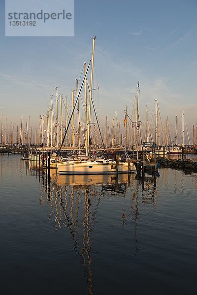 Segelboote im Yachthafen Maasholm  Mündung der Schlei in die Ostsee  Maasholm  Schleswig-Holstein  Deutschland  Europa