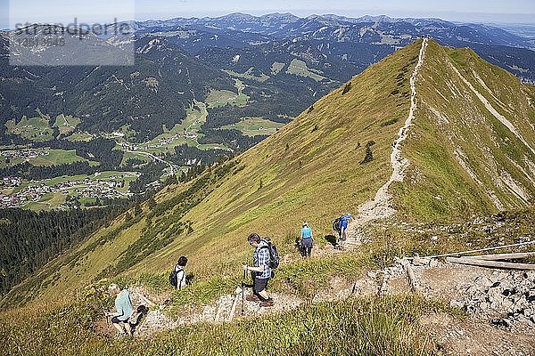 Gratwanderweg zwischen Fellhorn und Söllerkopf  hinter Allgäuer Alpen  links unterhalb von Riezlern im Kleinwalsertal  Oberstdorf  Oberallgäu  Allgäu  Bayern  Deutschland  Europa