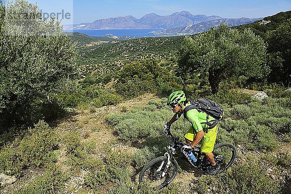 Mountainbiker fährt durch Macchia  nahe Kritsa  Agios Nikolaos  Kreta  Griechenland  Europa