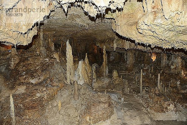 Stalaktiten und Stalagmiten in der König-Otto-Tropfsteinhöhle  Velburg  Oberpfalz  Bayern  Deutschland  Europa