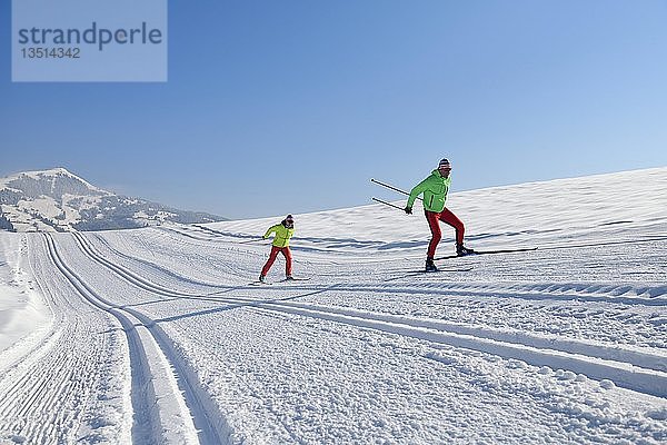 Skilangläufer auf dem Penningberg mit Blick auf die Hohe Salve  Hopfgarten  Kitzbüheler Alpen  Tirol  Österreich  Europa