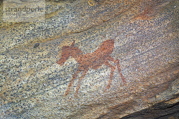 Antike Felskunst  Zeichnungen des San-Volkes  Ureinwohner Südafrikas  Sevilla Rock Art Trail  Cederberg Mountains  Clanwilliam  Westkap  Südafrika  Afrika