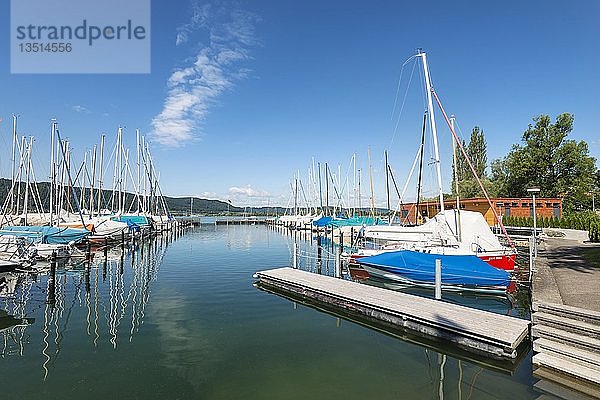 Yachthafen  Ludwigshafen am Bodensee  Landkreis Bodenseekreis  Baden-Württemberg  Deutschland  Europa