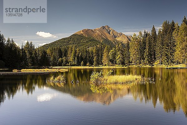 Schattensee mit Wasserspiegelung  hinter Berg Preber  Krakauschatten  Steiermark  Österreich  Europa