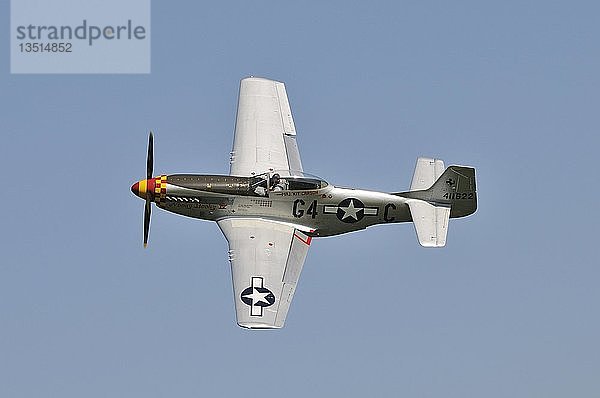 Amerikanische Kampfflugzeuge  North American P-51 Mustang  Europas größtes Oldtimertreffen auf der Hahnweide  Kirchheim-Teck  Baden-Württemberg  Deutschland  Europa