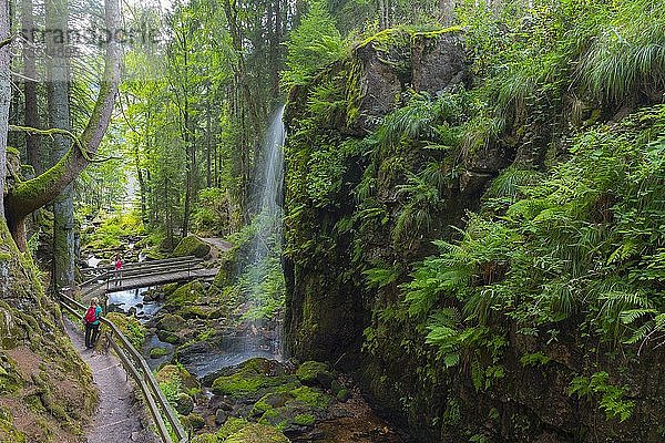 Wanderweg  Menzenschwander Wasserfall  St. Blasien  Schwarzwald  Baden-Württemberg  Deutschland  Europa