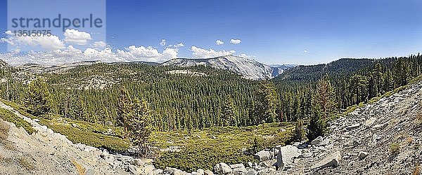 Plateau am Tioga-Pass  Tioga-Pass  Yosemite-Nationalpark  Kalifornien  Vereinigte Staaten  Nordamerika