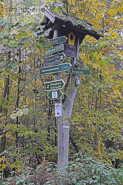 Wegweiser am Wanderweg  Naturpark Märkische Schweiz  Buckow  Brandenburg  Deutschland  Europa