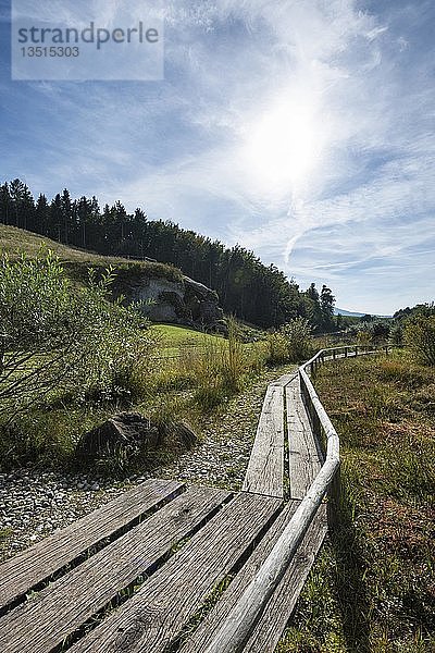 Rekonstruiertes Moorgebiet mit einem Holzsteg am Petersfels im Eiszeitpark bei Engen  Baden-Württemberg  Deutschland  Europa