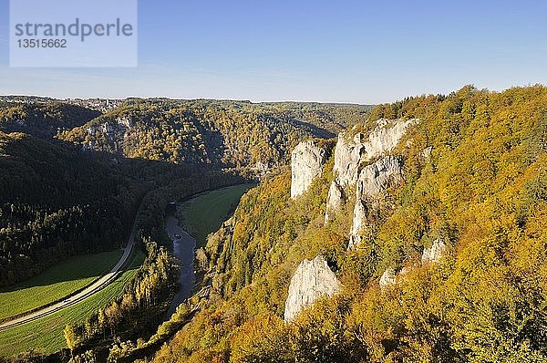Blick auf einen herbstlich gefärbten Buchenwald mit markanten Kalksteinfelsen im Oberen Donautal  Landkreis Sigmaringen  Baden-Württemberg  Deutschland  Europa