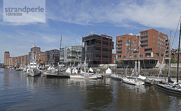 Segelschiffe im Hafen  Sandtorkai  HafenCity  Hamburg  Deutschland  Europa