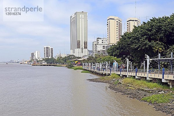 Blick auf die Uferpromenade des Parks Malecon am Ufer des Rio Guayas  Guayaquil  Ecuador  Südamerika
