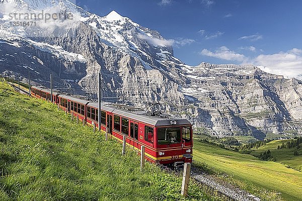 Zug von der Jungfraubahn nahe kleine Scheidegg  Bernese Oberland  Schweiz  Europa