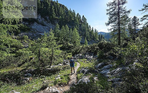 Wanderin auf dem Wanderweg von Salet zum Kärlingerhaus  Nationalpark Berchtesgaden  Berchtesgadener Land  Oberbayern  Bayern  Deutschland  Europa