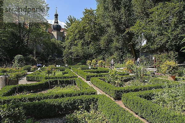 Kräutergarten am Roten Tor  Augsburg  Schwaben  Bayern  Deutschland  Europa