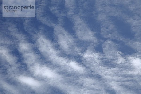 Gekräuselte Cirrocumulus-Wolken  Hintergrundbild  Kanada  Nordamerika