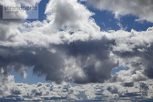 Cirrocumulus-Wolken  dramatischer Himmel  Hintergrundbild  Kanada  Nordamerika