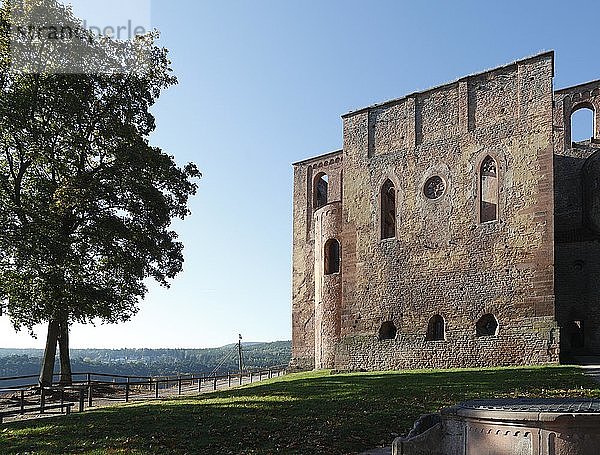 Ruinen der romanischen Basilika des Klosters Limburg an der Haardt  ehemalige Benediktinerabtei  Bad Dürkheim  Pfälzerwald  Rheinland-Pfalz  Deutschland  Europa