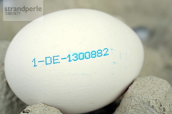 Weißes Ei mit dem Erzeugercode  Deutschland  Europa