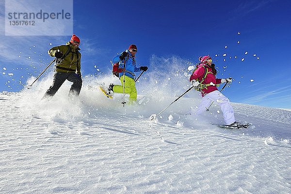 Schneeschuhtour zum Fellhorn  Reit im Winkl  Bayern  Deutschland  Europa