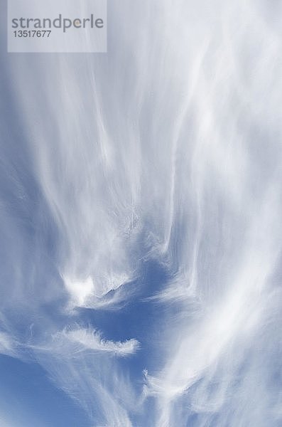 Hohe Wolken  Cirruswolken in einer Höhe zwischen 8000 und 12.000 Metern