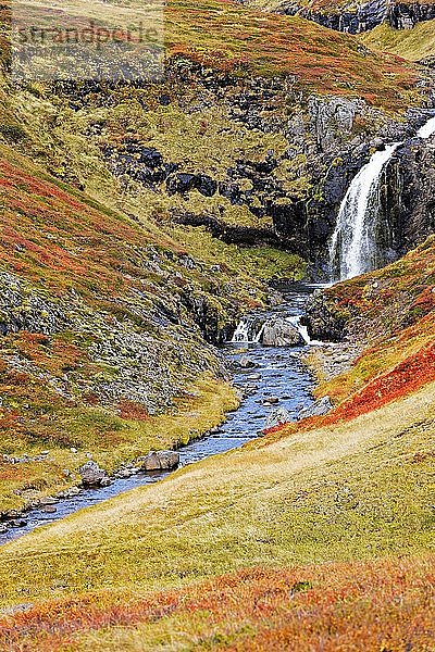Kleiner Wasserfall in Herbstlandschaft  Westisland  Island  Europa