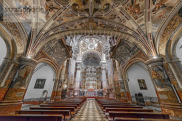 Innenraum  verzierte Decke  Deckengemälde  Renaissancekirche und Kloster  Monasterio de San Jerónimo  Granada  Andalusien  Spanien  Europa