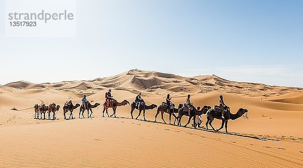 Touristen reiten auf Dromedaren (Camelus dromedarius)  Karawane durch Sanddünen in der Wüste  Erg Chebbi  Merzouga  Sahara  Marokko  Afrika