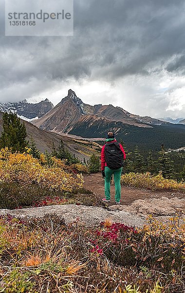 Blick auf Mount Athabasca und Hilda Peak im Herbst  Wanderer auf dem Wanderweg zur Parker Ridge  Jasper National Park National Park  Canadian Rocky Mountains  Alberta  Kanada  Nordamerika