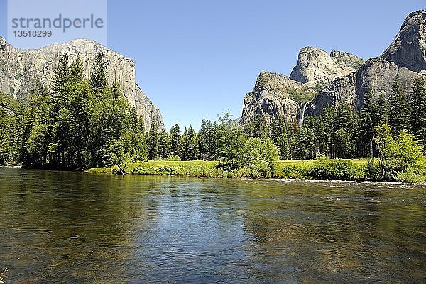 Typische Landschaft mit dem Merced River im Yosemite National Park  Kalifornien  USA  Nordamerika