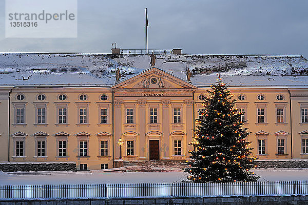 Haupteingang von Schloss Bellevue  Residenz des Bundespräsidenten  mit einem Weihnachtsbaum zur Weihnachtszeit  Berlin  Deutschland  Europa