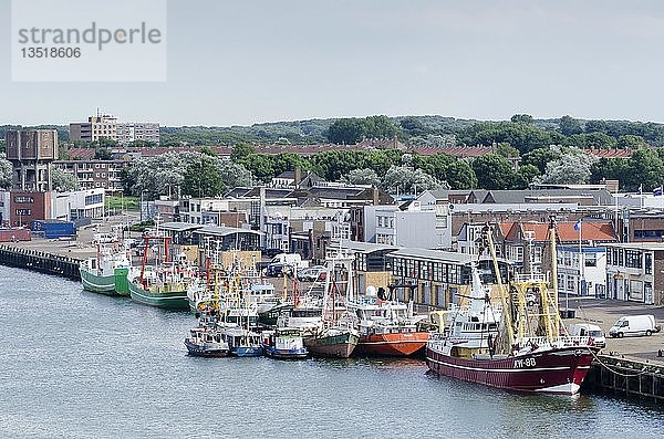 Hafen von Ijmuiden mit vertäuten Fischerbooten oder Trawlern und Schleppern  Nordholland  die Niederlande  Europa