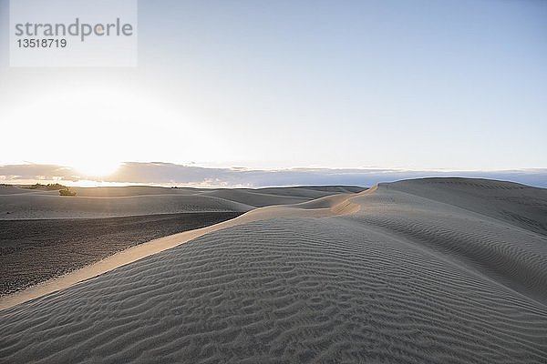 Sanddünen von Maspalomas  Großkanarische Inseln  Kanarische Inseln  Spanien  Europa