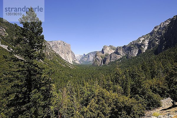 Typische Landschaftsformen mit dem Merced River im Yosemite-Nationalpark  Kalifornien  USA  Nordamerika