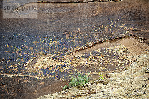 Ca. 3000 Jahre alte Felsmalereien der amerikanischen Ureinwohner  Sand Island  bei Bluff  Nord-Utah  USA  Nordamerika